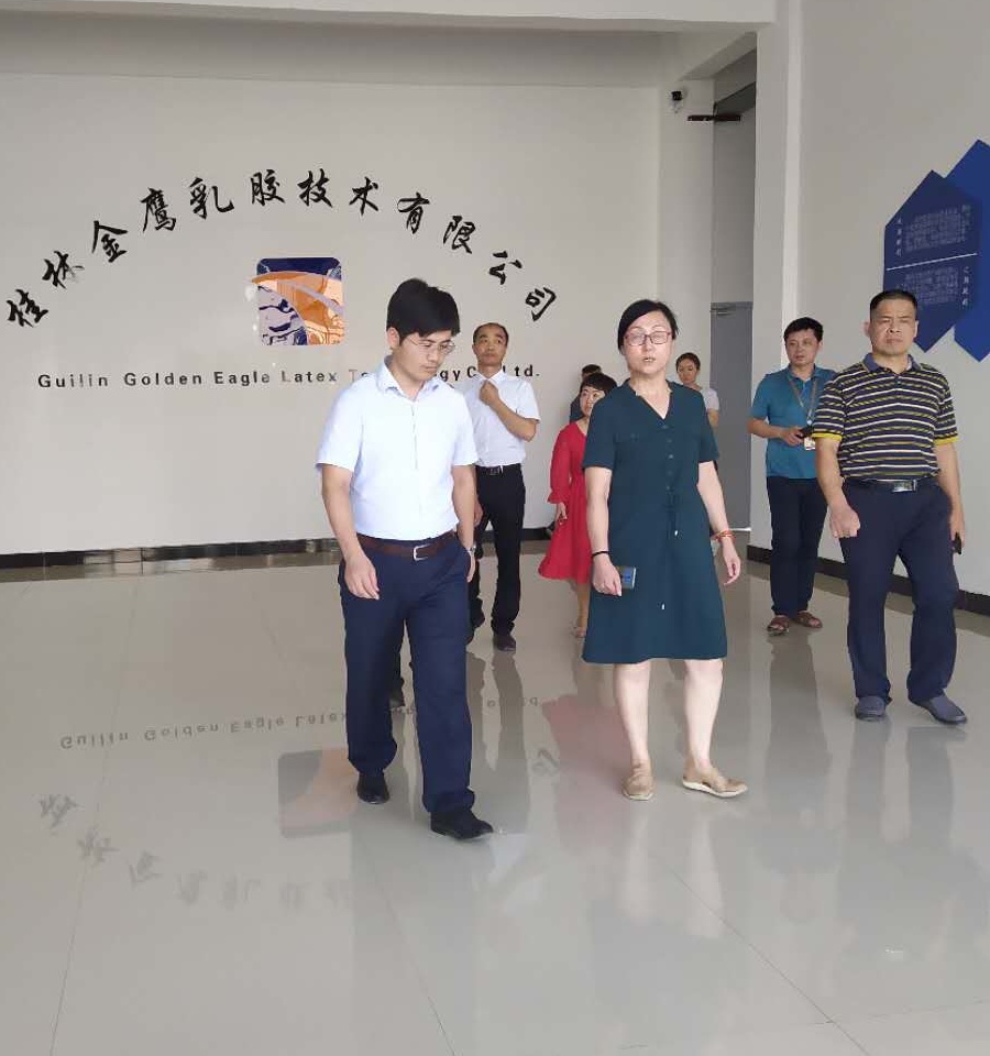 工信局叶涛副局长和永福县韩中元副县长结束考察，离开金鹰公司。